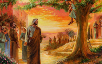 Finding the Family in Come Follow MeLesson 20: Matt 21-23; Mark 11; Luke 19-20; John 12